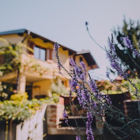 Holiday Home Castanea Praporcan Bagian luar foto