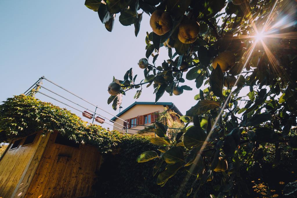 Holiday Home Castanea Praporcan Bagian luar foto