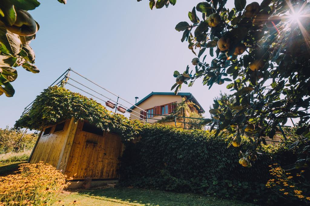 Holiday Home Castanea Praporcan Bagian luar foto